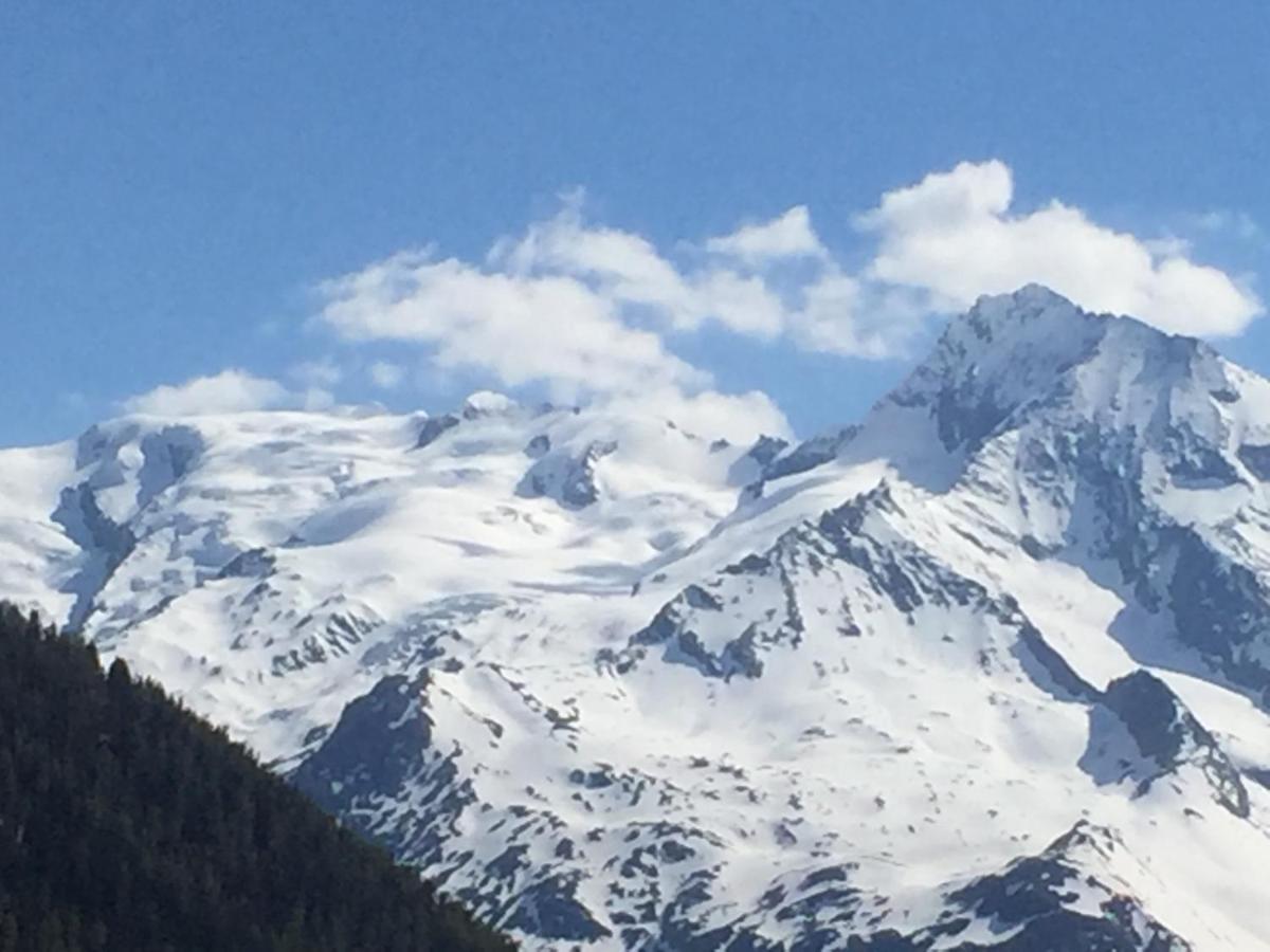 Le Petit Saint Bernard Villa Sainte-Foy-Tarentaise Exterior foto